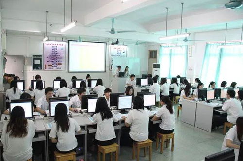 电子商务专业ui工程师