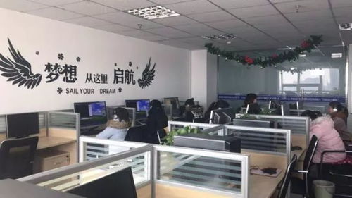 事业编c类电子商务专业