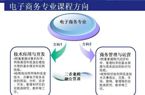 电子商务考研的专业课